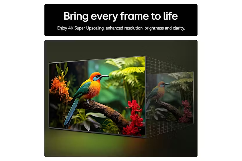 LG 55" UA73 4K Ultra HD HDR LED Smart TV | 55UA73006LA.AEK